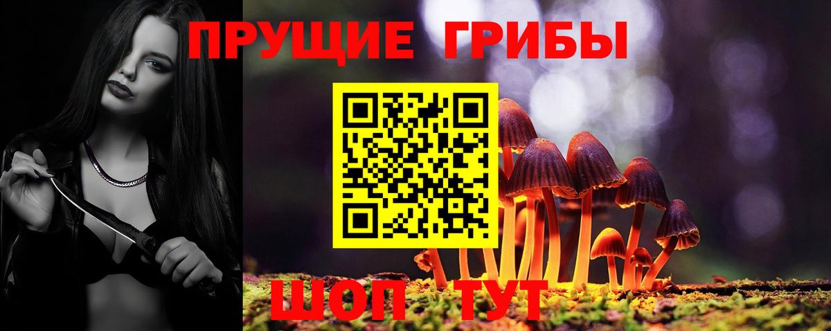 Псилоцибиновые грибы Magic Shrooms Карталы