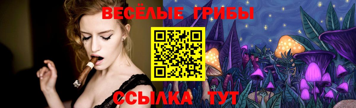 Галлюциногенные грибы мухоморы  Псилоцибиновые грибы ЛСД  Карталы  Вход с VPN 